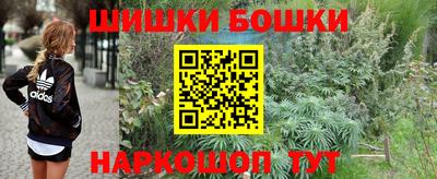 PSILOCYBIN Заводоуковск