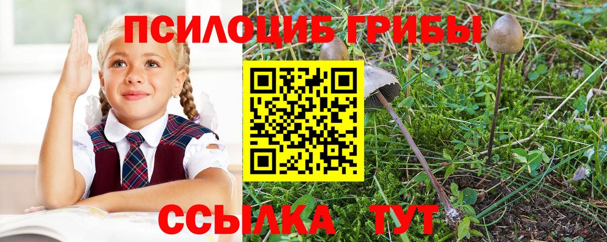 Псилоцибиновые грибы MAGIC MUSHROOMS  как найти закладки  Междуреченск  Вход с VPN 